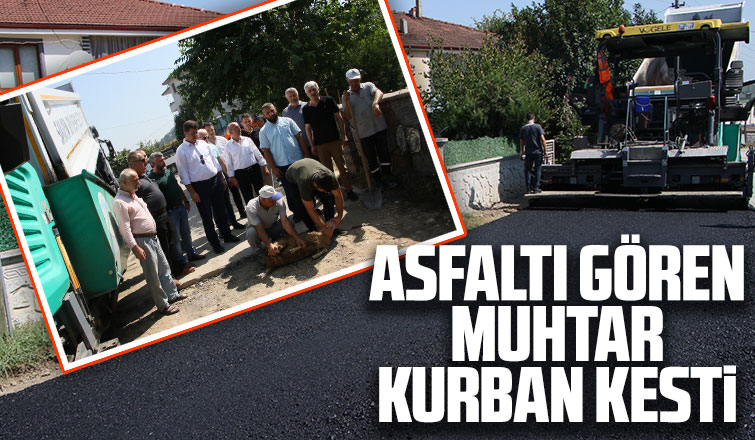 Muhtar asfaltı görünce kurban kestirdi