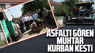 Muhtar asfaltı görünce kurban kestirdi