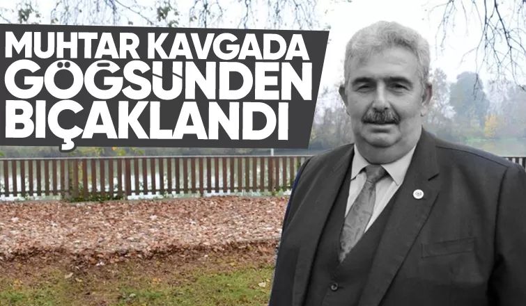 Muhtar kavgada bıçaklandı