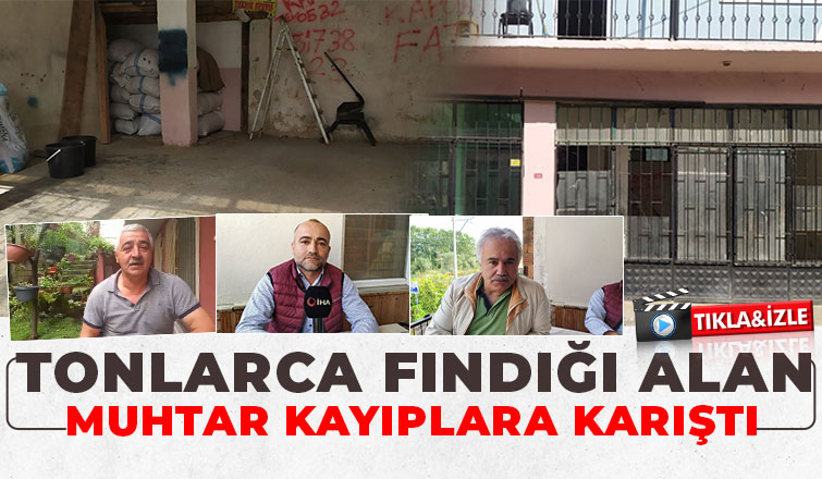 Muhtar tonlarca fındığı aldı, parasını ödemeden kayıplara karıştı