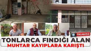 Muhtar tonlarca fındığı aldı, parasını ödemeden kayıplara karıştı