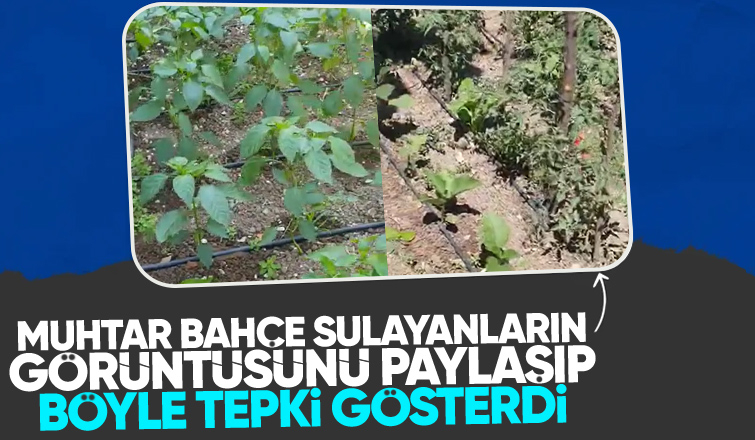 Muhtardan bahçe sulayanlara tepki