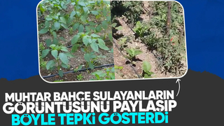 Muhtardan bahçe sulayanlara tepki