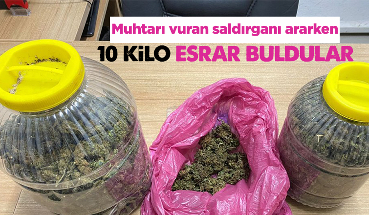 Muhtarı vuran saldırganı ararken 10 kilo esrar buldular