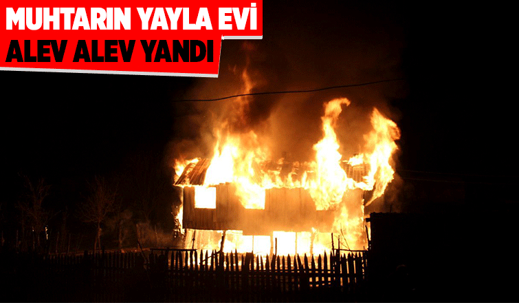 Muhtarın yayla evi yandı
