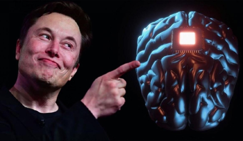 Musk teste giren maymunları öldürdüğünü itiraf etti