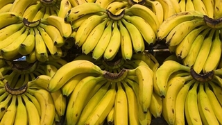 Muzda tarak oyunu: Kilosunu 50 TL'ye satıyorlar