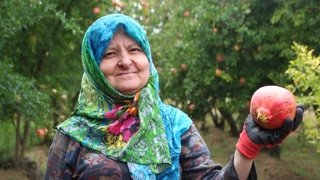 Nar yerinde 5, pazarda ise 10 TL