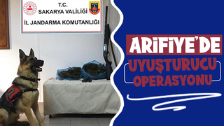 Narkotik Köpek Ekipleri ile uyuşturucu operasyonu 