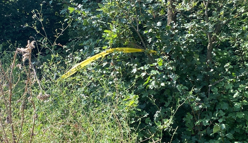 Nişanlısına küfür ettiği iddiasıyla komşusunu öldüren sanığa müebbet