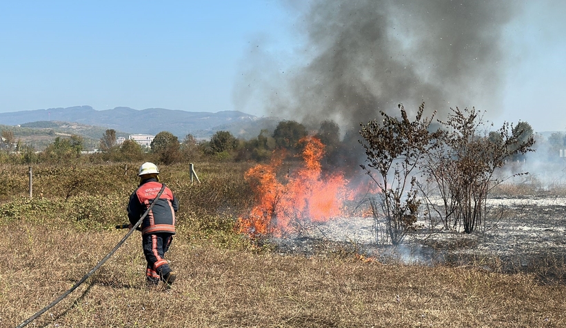 nız yangını 10 dönüm araziyi küle çevirdi