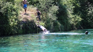 O gölete girenlere ceza yağdı