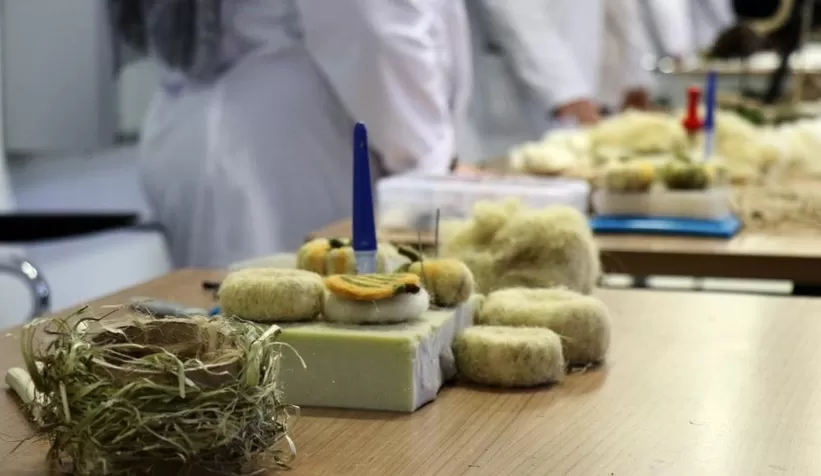 O kenevirler büyüdü, bakın ne oldu