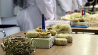 O kenevirler büyüdü, bakın ne oldu