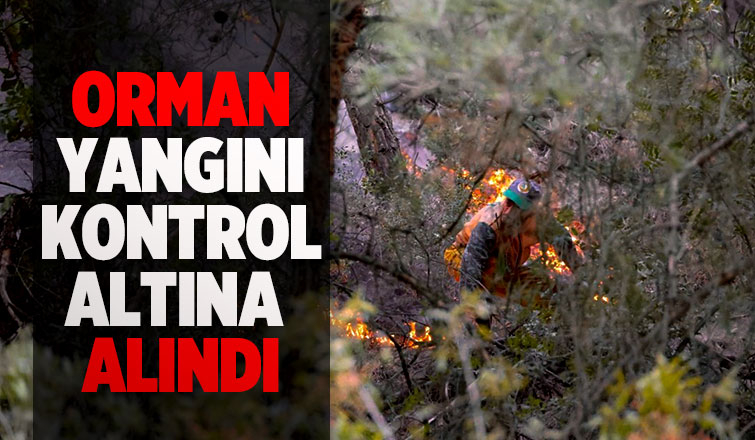 O yangın kontrol altına alındı