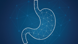  Obeziteye bilimsel çözüm