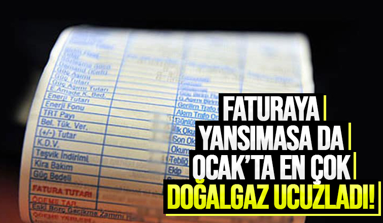 Ocak ayında en çok doğalgaz ucuzladı