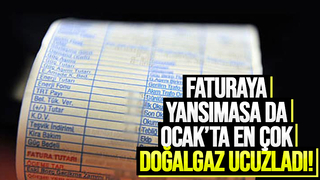 Ocak ayında en çok doğalgaz ucuzladı