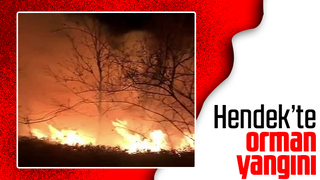 Ocak ayında orman yangını korkuttu