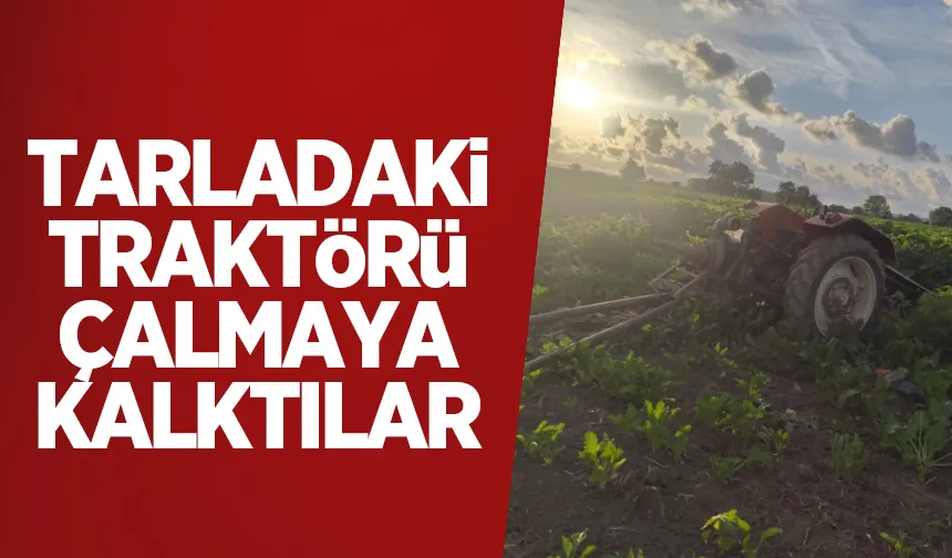 Odası Başkanının traktörünü çalmaya kalktılar
