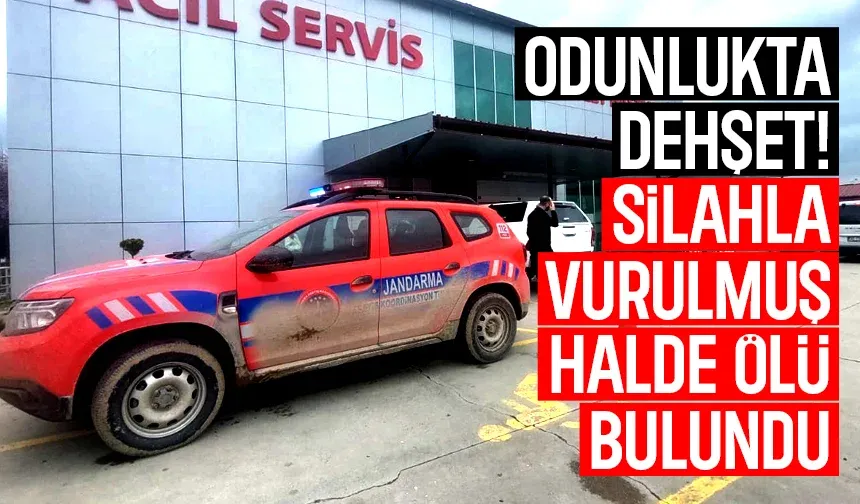 Odun almaya gidiyorum dedi, ölü bulundu.