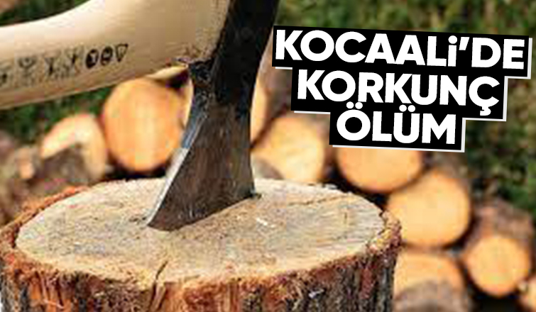 Odun Keserken ağır yaralanan kadın hayatını kaybetti