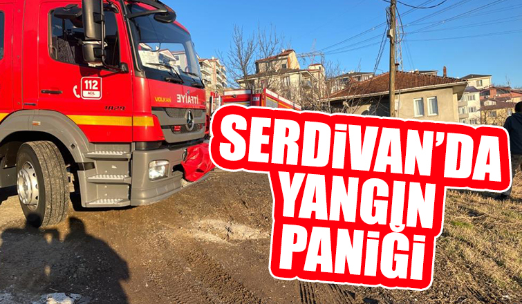 Odunlukta çıkan yangın paniğe sebep oldu