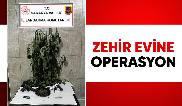 Odunluktan esrar bahçeden kenevir çıktı!