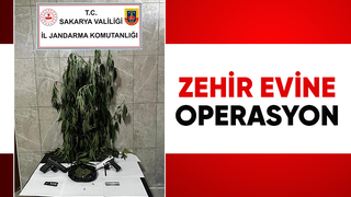 Odunluktan esrar bahçeden kenevir çıktı!