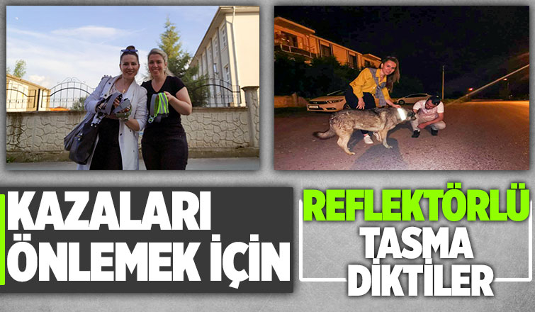Öğrencilerden sokak köpekleri için örnek çalışma