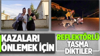Öğrencilerden sokak köpekleri için örnek çalışma