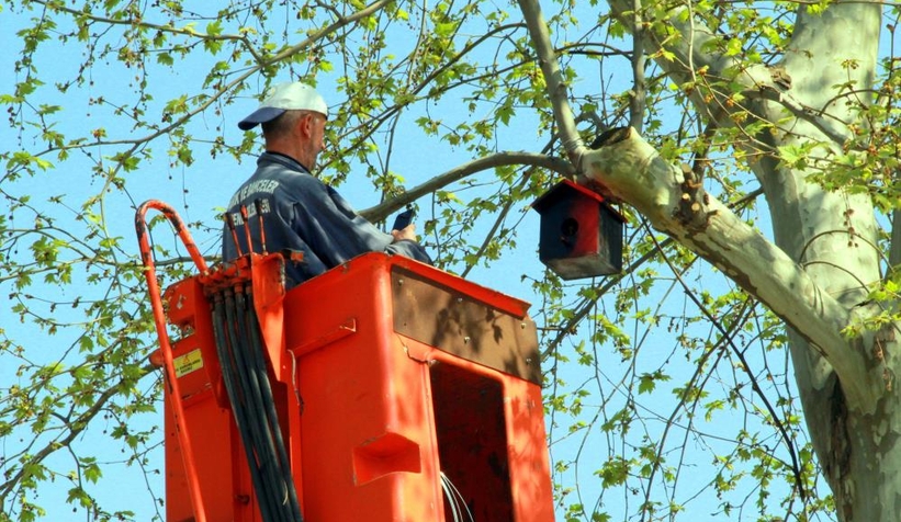 Öğrencilerin el emekleri kuşlara yuva oldu