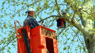 Öğrencilerin el emekleri kuşlara yuva oldu