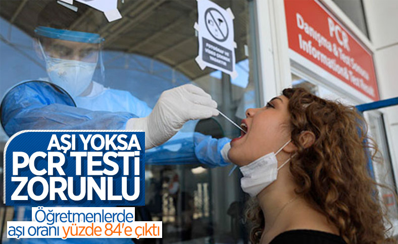 Öğretmenlerin yüzde 84'ü ilk doz aşısını oldu