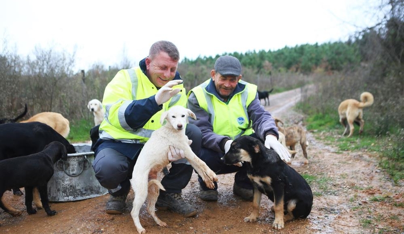 Okul tatil olunca yemekleri sokak hayvanlarına götürdüler