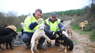 Okul tatil olunca yemekleri sokak hayvanlarına götürdüler