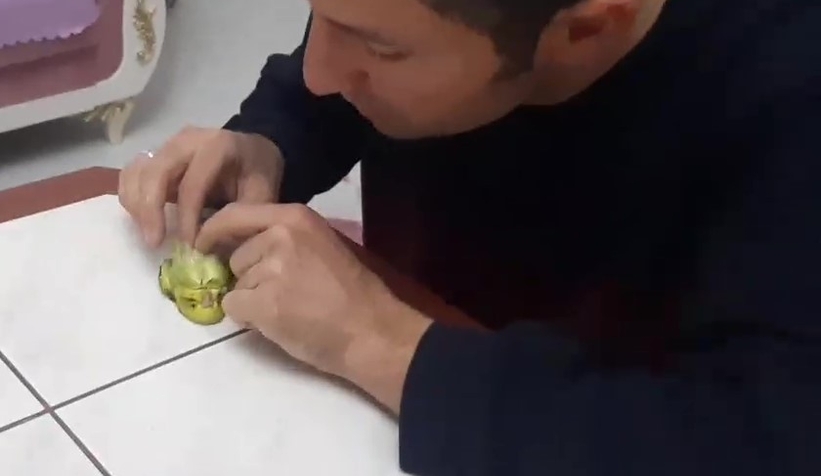 Ölen kuşunu kalp masajı yapıp 2 kez hayata döndürdü