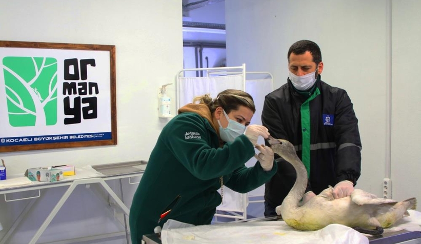 Ölmek üzereyken bulunmuştu, tedavi altına alındı