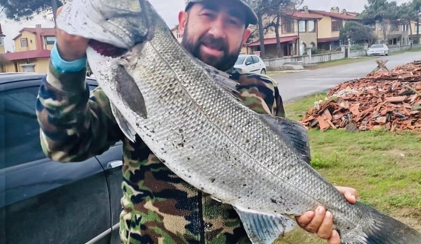 Oltayla büyük levreği yakaladı