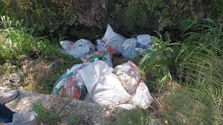 Ölü tavukları çuvallarla dere kenarına attılar