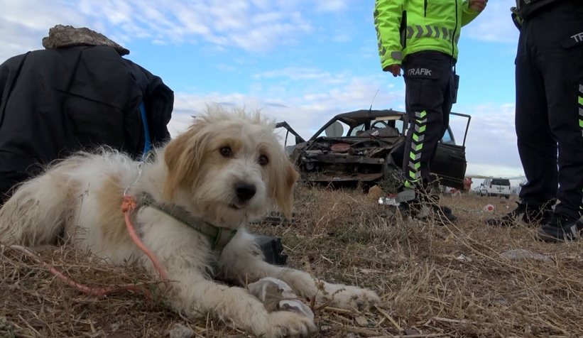 Ölümlü kazada duygulandıran görüntü
