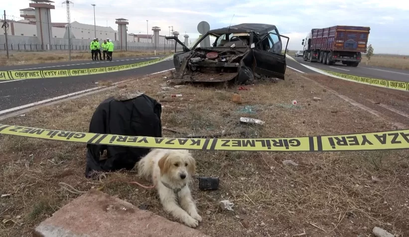 Ölümlü kazada duygulandıran görüntü