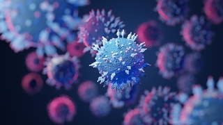 Omicron uyarısı: Hepsinin yerini alıyor