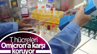 Omicron varyantı, T hücrelerini aşmakta zorlanıyor