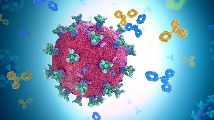 Omicron varyantını engelleyen antikorlar tespit edildi