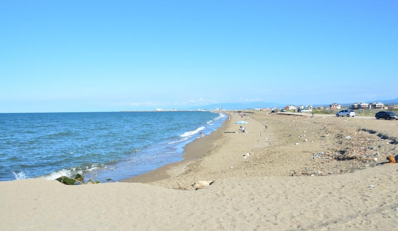 Onlar ağlarını sessiz attı