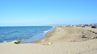 Onlar ağlarını sessiz attı