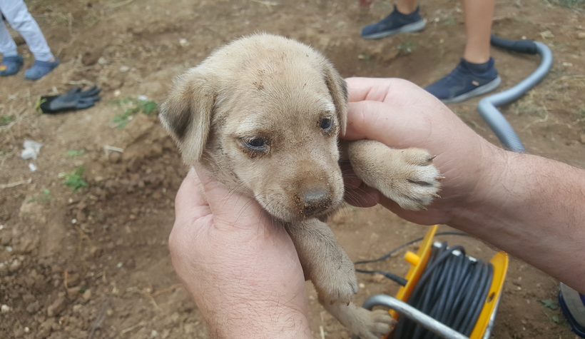 Onu kurtarmak için seferber oldular