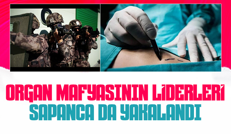 Organ mafyasına operasyon: Sapanca'da saklanmışlar