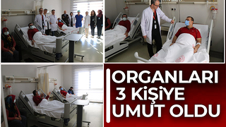 Organ nakliyle hayata tutundular